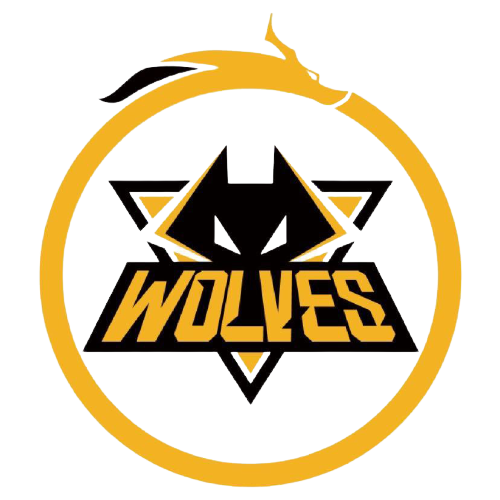 球队的主场 球队的主场